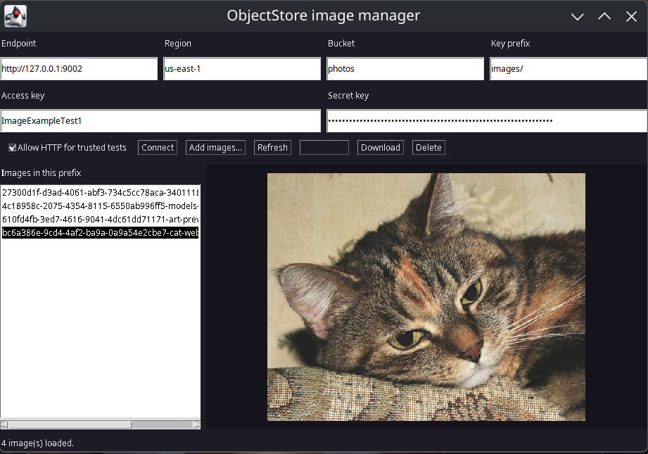 Image manager previewing a cat photo in the local test service